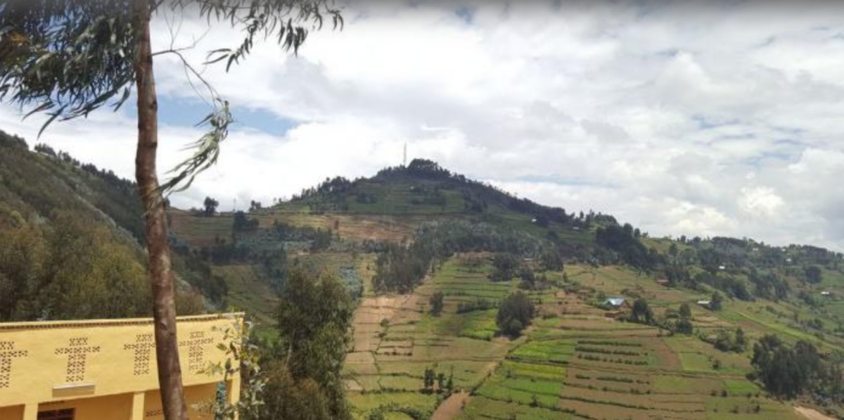 Screen Shot 2019-01-19 at 3.15.40 PM.png (Full)